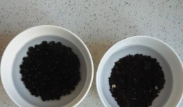 黑米黑豆黑芝麻豆浆,营养满分，健康养生新选择”